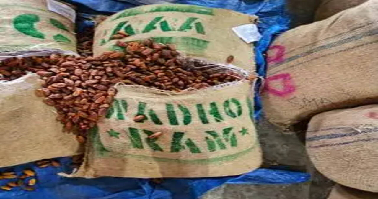 DRI Seizes Over 362 MT of Pakistan-Origin Dry Dates, Major Action Under Operation Deep Manifest