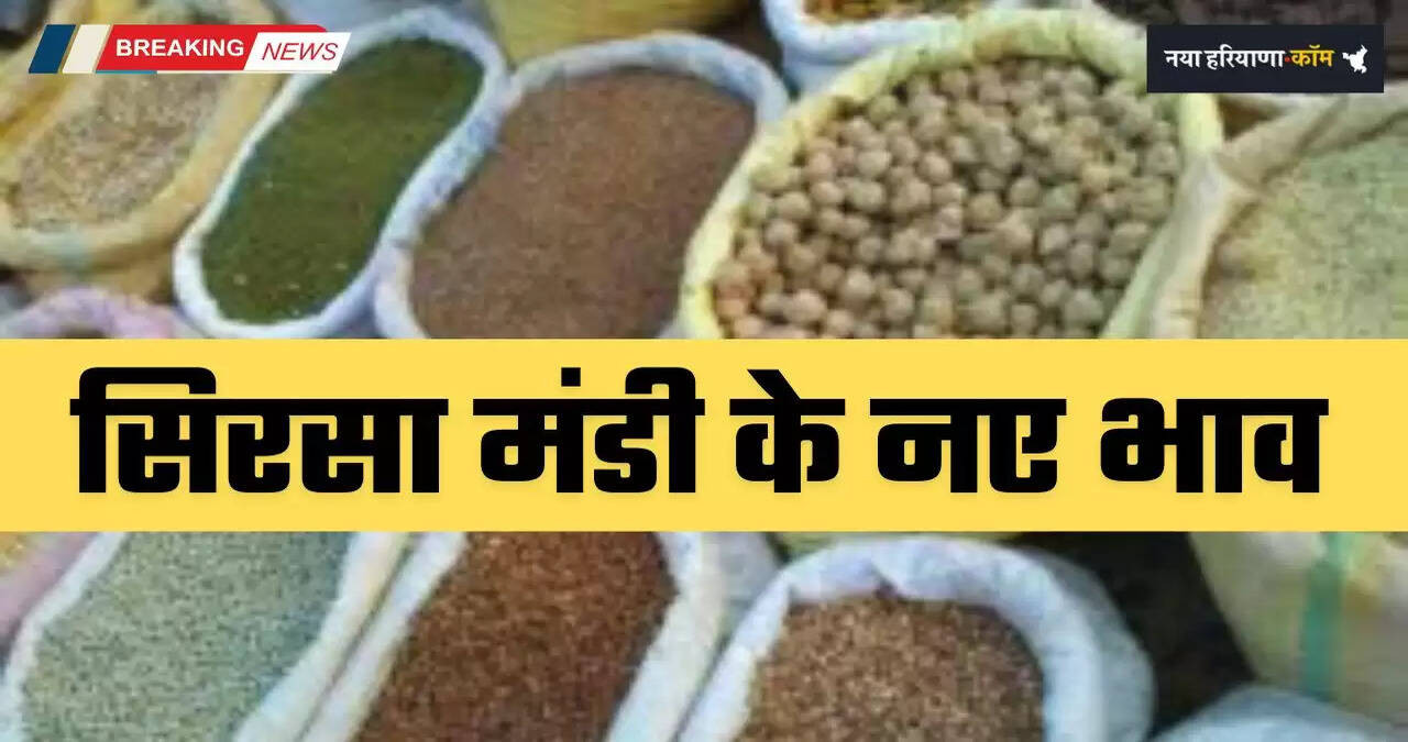 Mandi Bhav: हरियाणा की सिरसा मंडी में आज इस रेट पर बिकी फसलें, देखें नए भाव