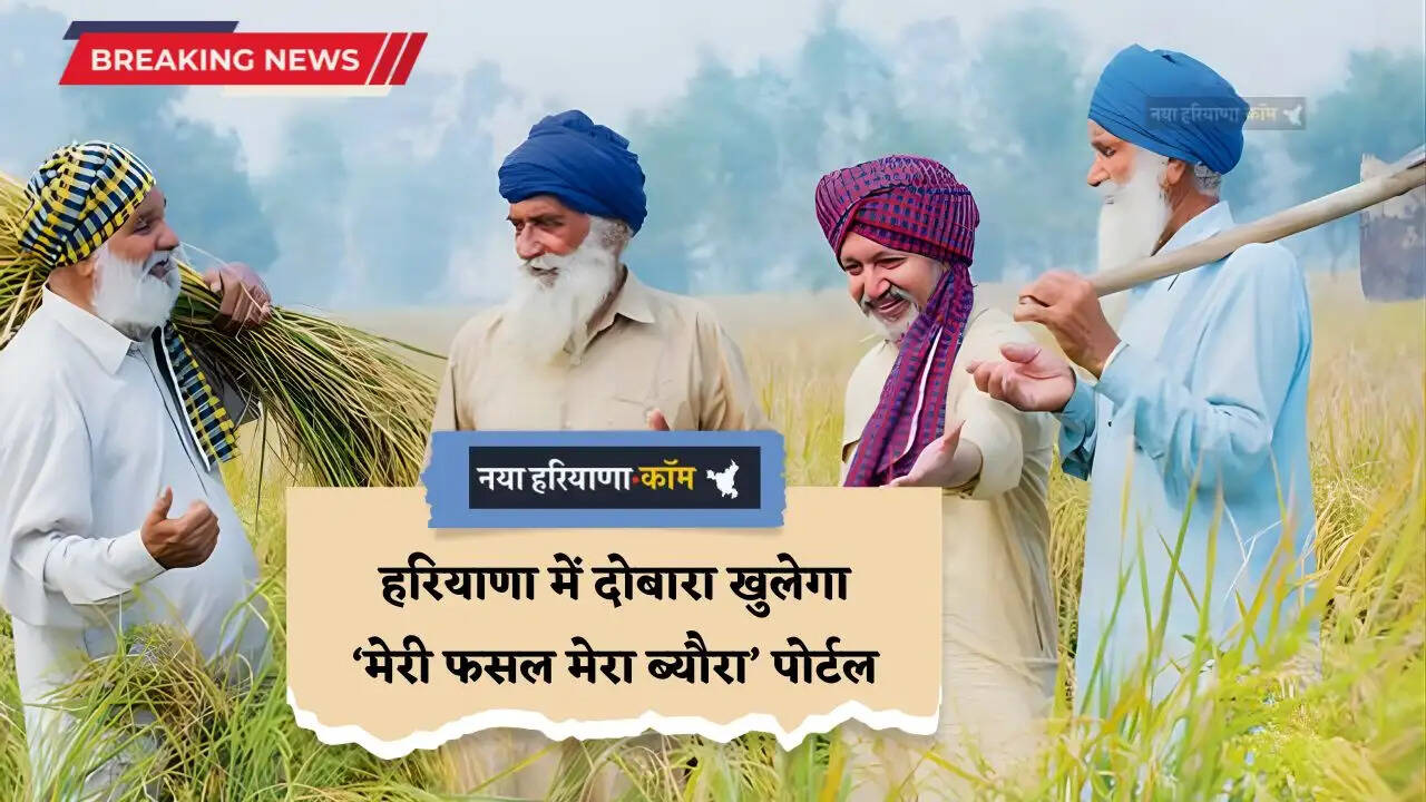 Haryana: हरियाणा में दोबारा खुलेगा &lsquo;मेरी फसल मेरा ब्यौरा&rsquo; पोर्टल, सरकार खरीदेगी किसान की फसल का एक-एक दाना