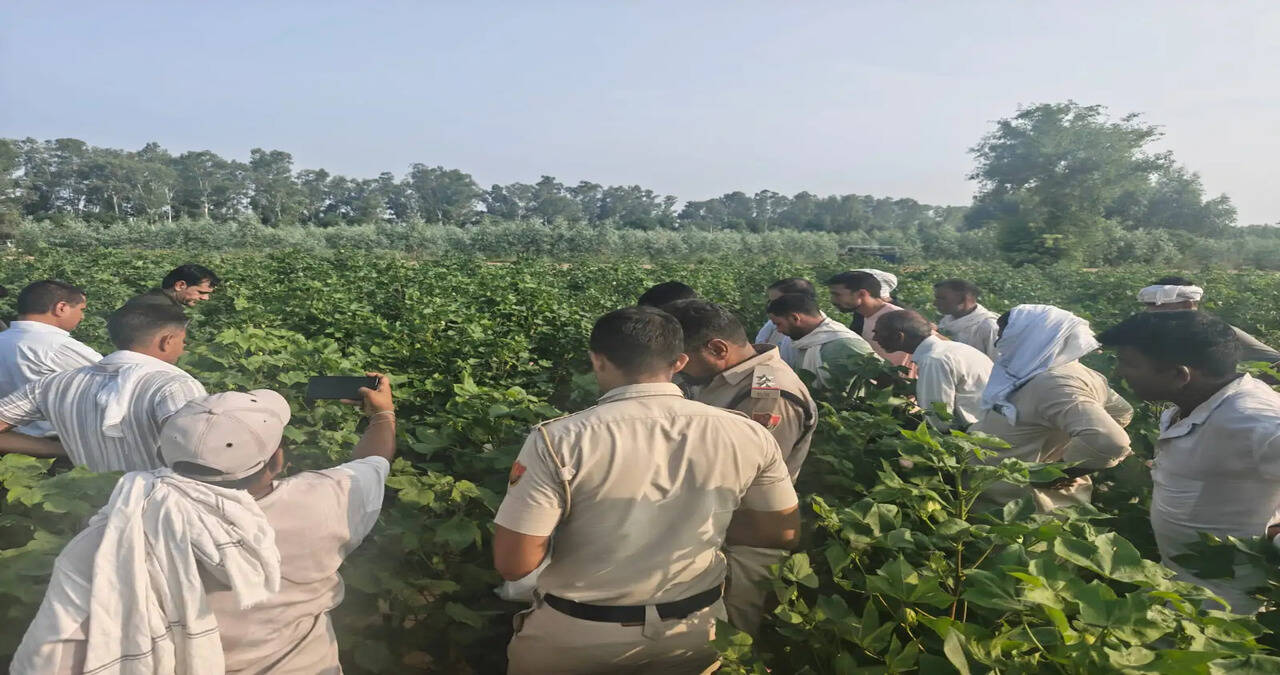 Sirsa News: हरियाणा के सिरसा के माखोसरानी गांव में किसान ने की खुदकुशी, भाई ने लगाए ये गंभीर आरोप