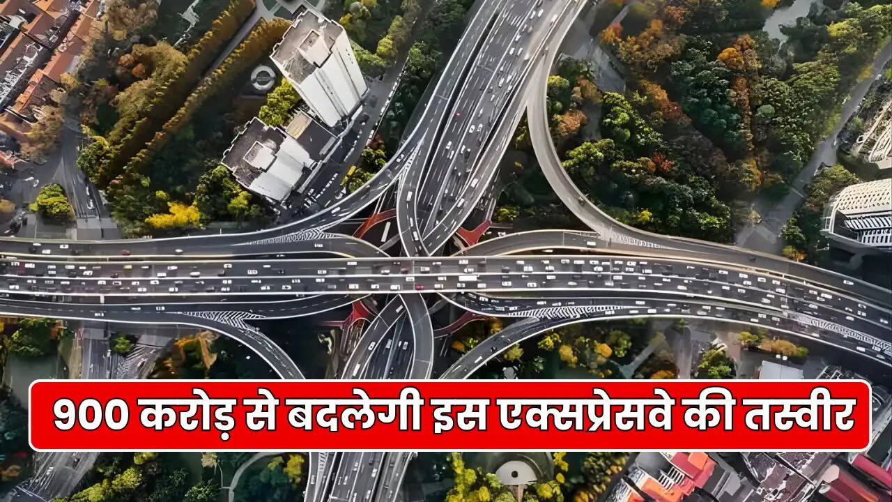Haryana News