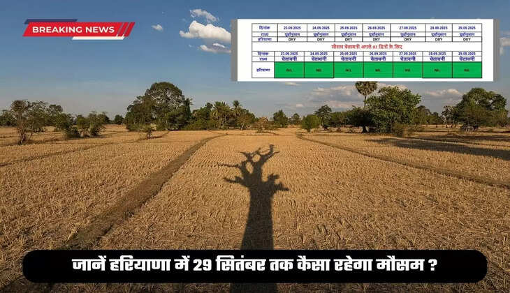 Haryana Weather update