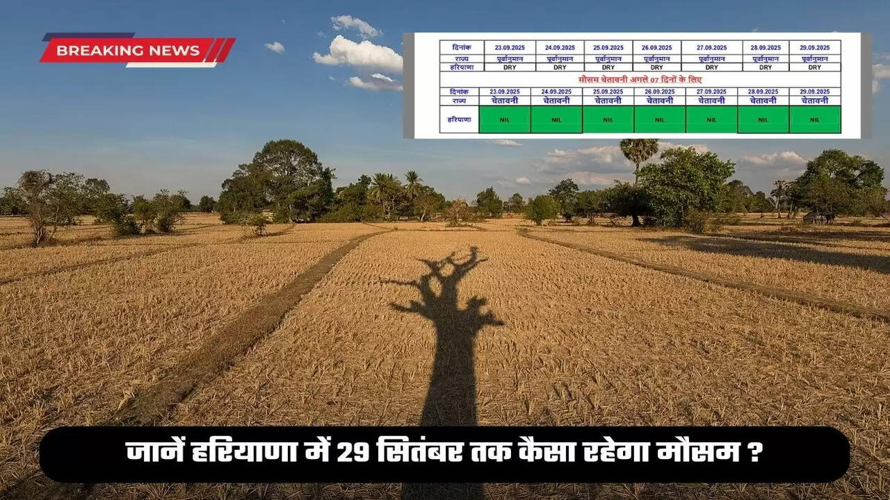 Haryana Weather update