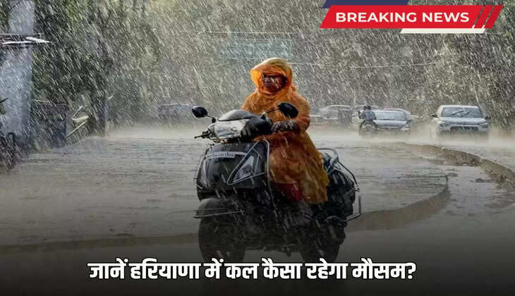  Haryana Weather Update: There will be heavy rain in Haryana tomorrow, Meteorological Department has issued yellow alert for these districts