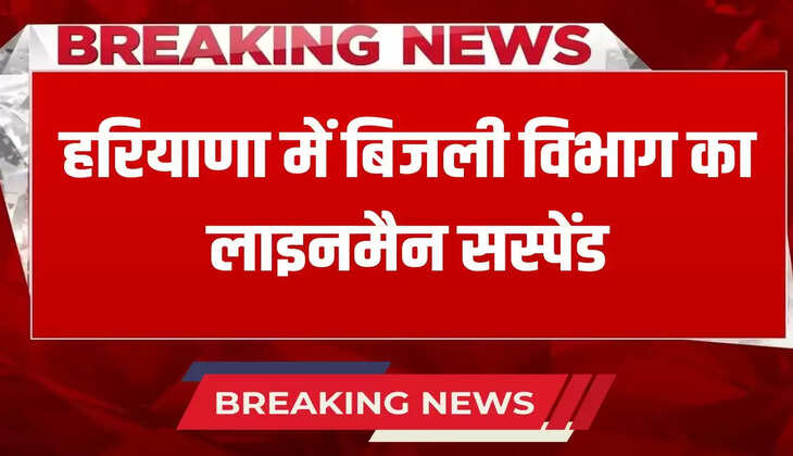 Electricity department lineman suspended in Haryana