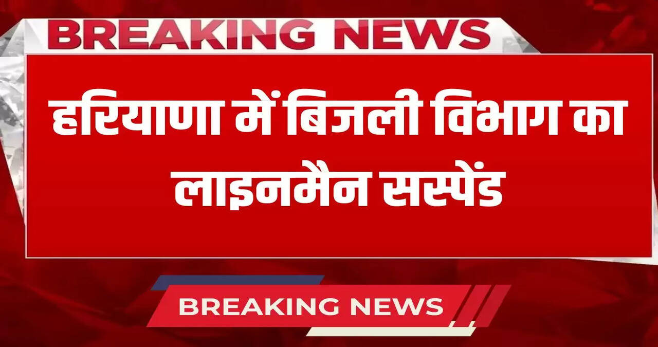 Electricity department lineman suspended in Haryana