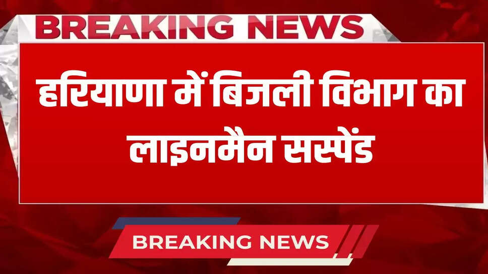 Electricity department lineman suspended in Haryana