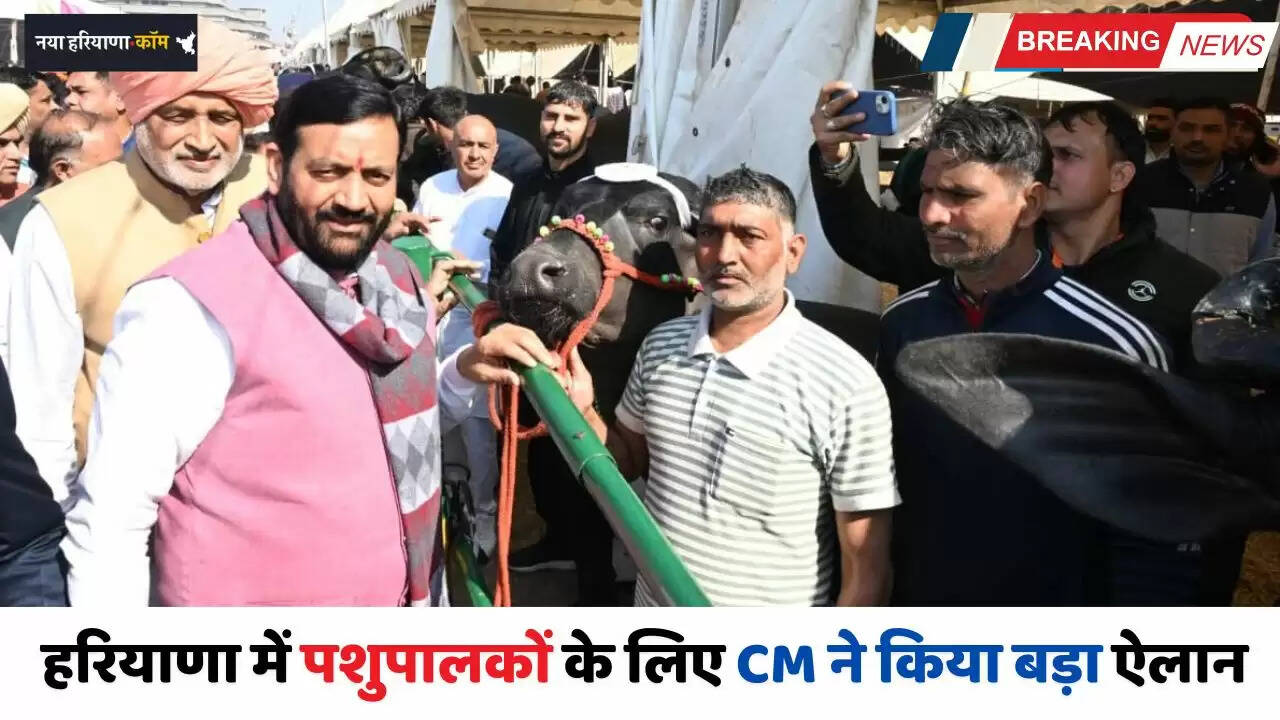 Haryana: हरियाणा में पशुपालकों के लिए CM ने किया बड़ा ऐलान, देखें क्या क्या हुआ है खास ?