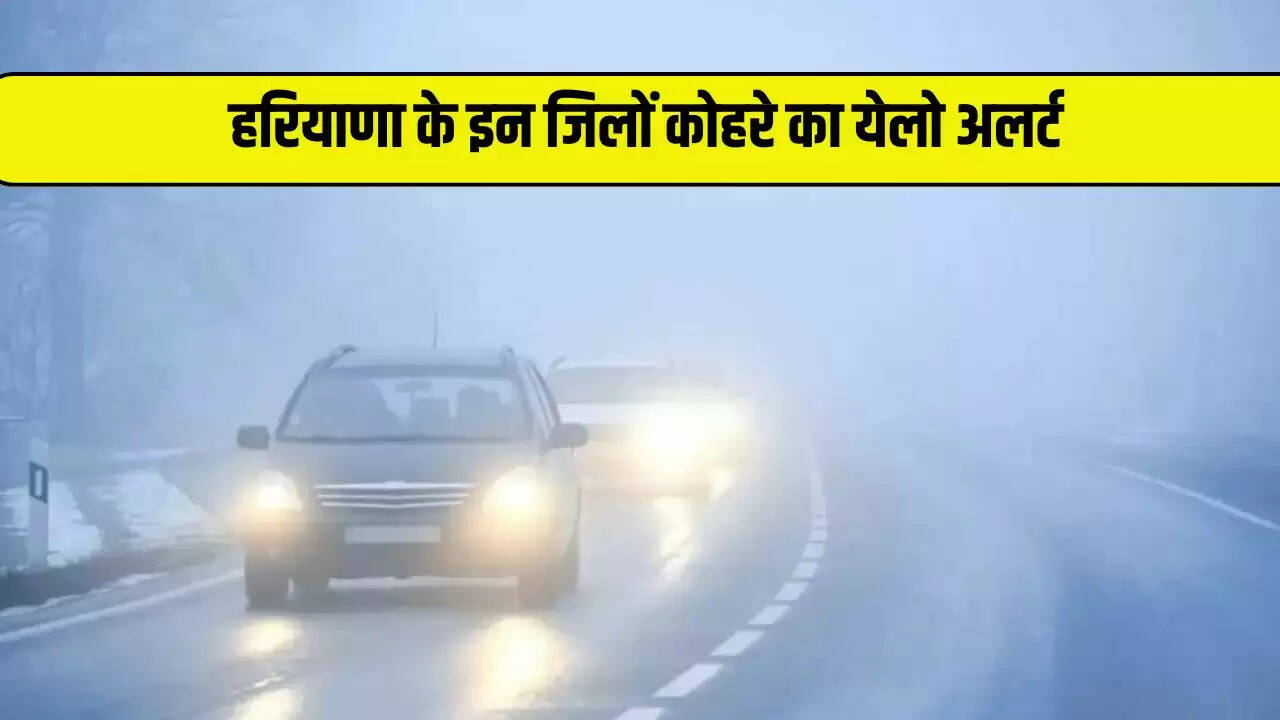 haryana weather update