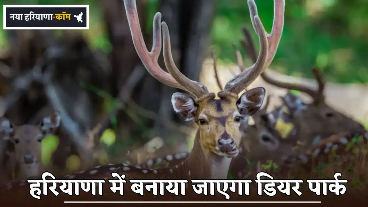 Deer park will be built in this village of Haryana.