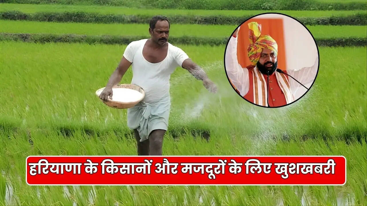 haryana news