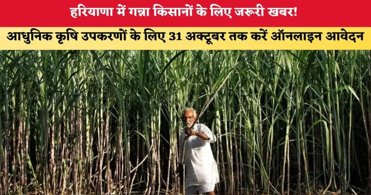 हरियाणा में गन्ना किसानों को दिया जा रहा है मशीनीकरण और आधुनिक उपकरणों का लाभ