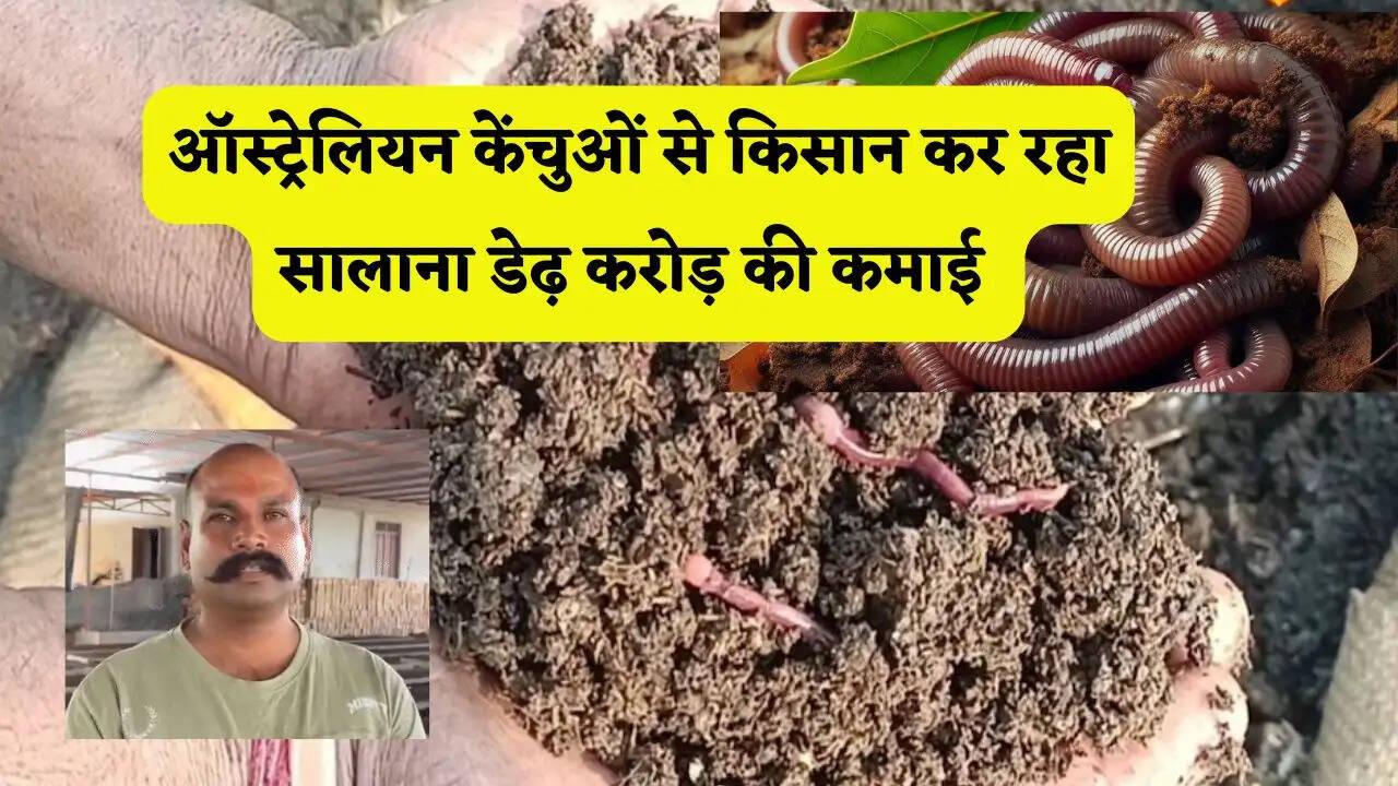 ऑस्ट्रेलियन केंचुओं से किसान कर रहा सालाना डेढ़ करोड़ की कमाई, जैविक खाद की फैक्ट्री ने बदली किस्मत&nbsp;