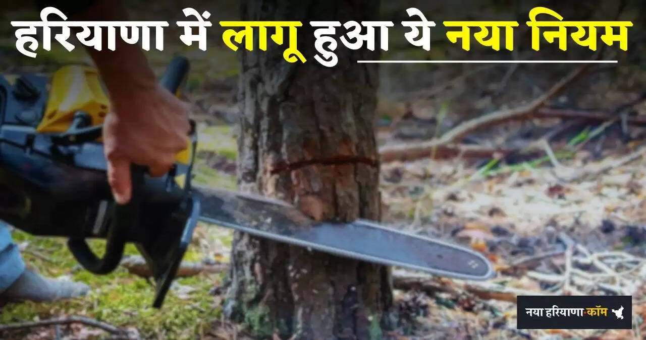 &nbsp;Haryana: हरियाणा में पेड़ काटने पर हुई सख्ती, लागू हुआ ये नया नियम...