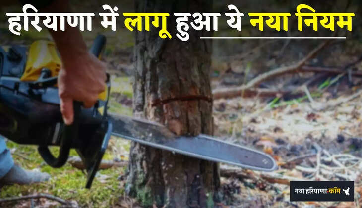 Haryana: हरियाणा में पेड़ काटने पर हुई सख्ती, लागू हुआ ये नया नियम...