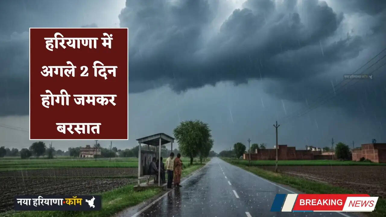 Haryana Weather: हरियाणा में अगले 2 दिन होगी जमकर बरसात, आज से सक्रिय होगा नया पश्चिमी विक्षोभ