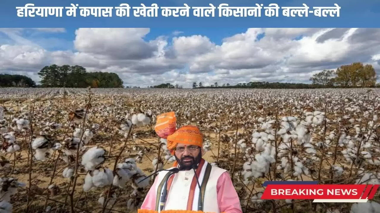 Good news for Haryana farmers 