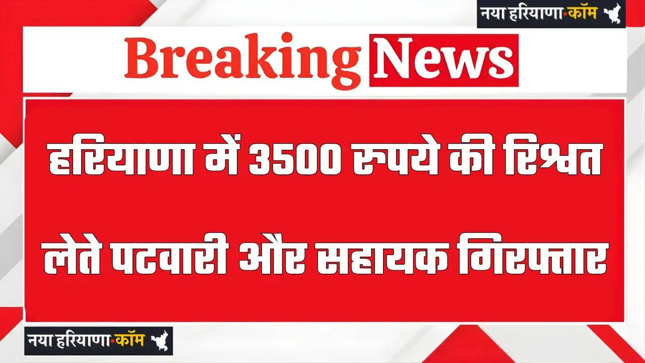 Haryana: हरियाणा में 3500 रुपये की रिश्वत लेते पटवारी और सहायक गिरफ्तार, पुराने रिकार्ड के बदले मांगे थे पैसे&nbsp;&nbsp;