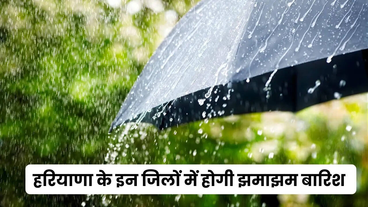 haryana weather udpate