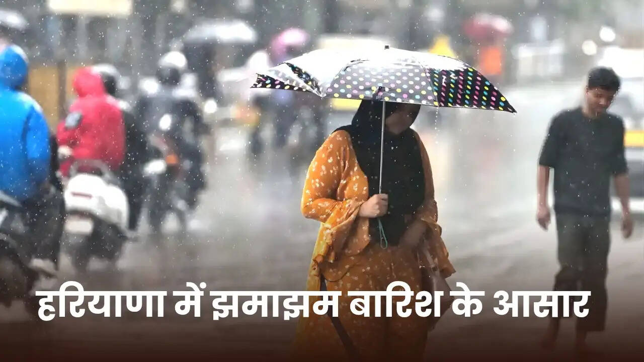 Haryana Weather update 