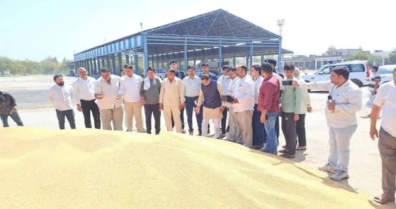 हरियाणा सरकार किसान हितैषी, मंडियों में फसल खरीद की तैयारियां पूरी: राजेश नागर