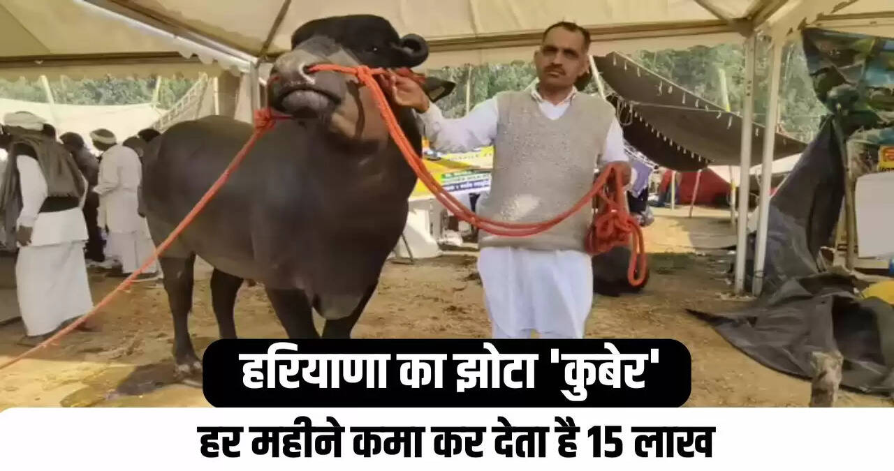 jhota kuber