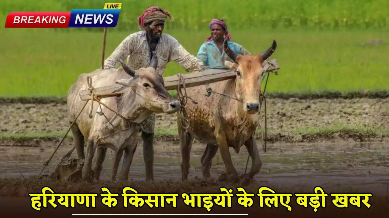 Big news for the farmer brothers of Haryana