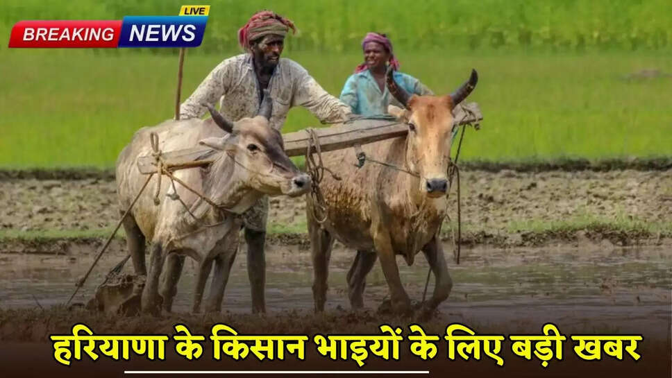 Big news for the farmer brothers of Haryana