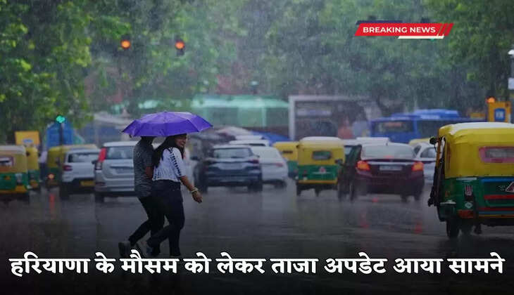 Latest update regarding Haryana's weather has come out