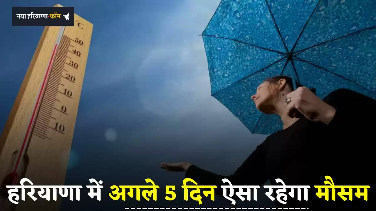 Haryana Weather: हरियाणा में पश्चिमी विक्षोभ हुआ सक्रिय, अगले 5 दिन ऐसा रहेगा मौसम