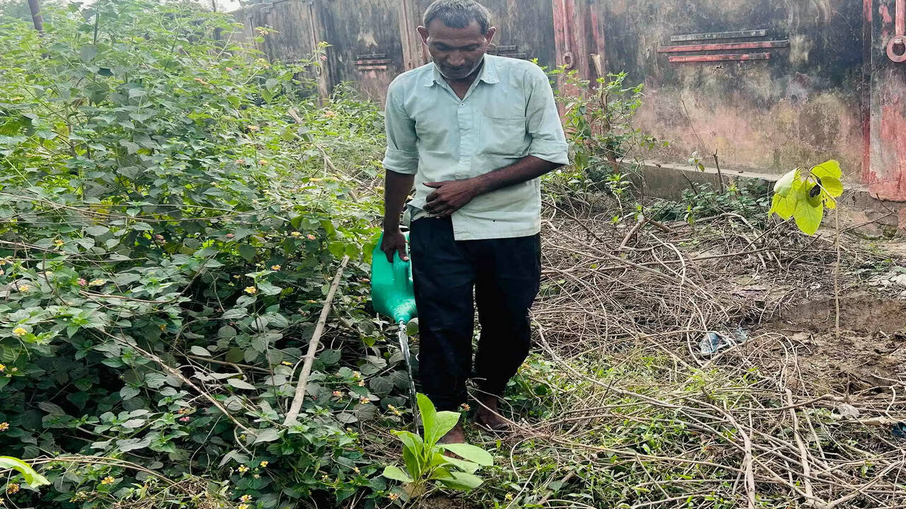 खराब पौधों को बदलने या बागवानी से जुड़ी टूल किट पर 40 से 75 प्रतिशत अनुदान