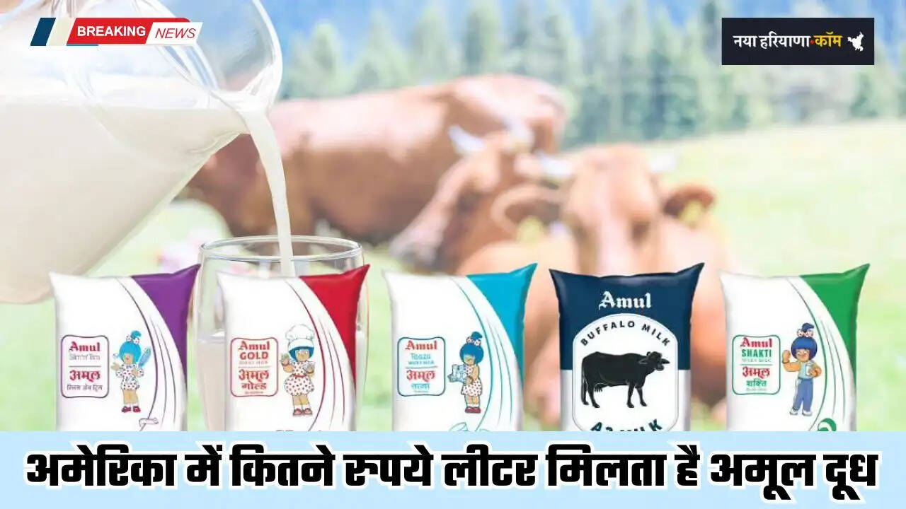 Amul Milk Price: अमेरिका में कितने रुपये लीटर मिलता है अमूल दूध, कीमत सुन चकरा जाएगा माथा