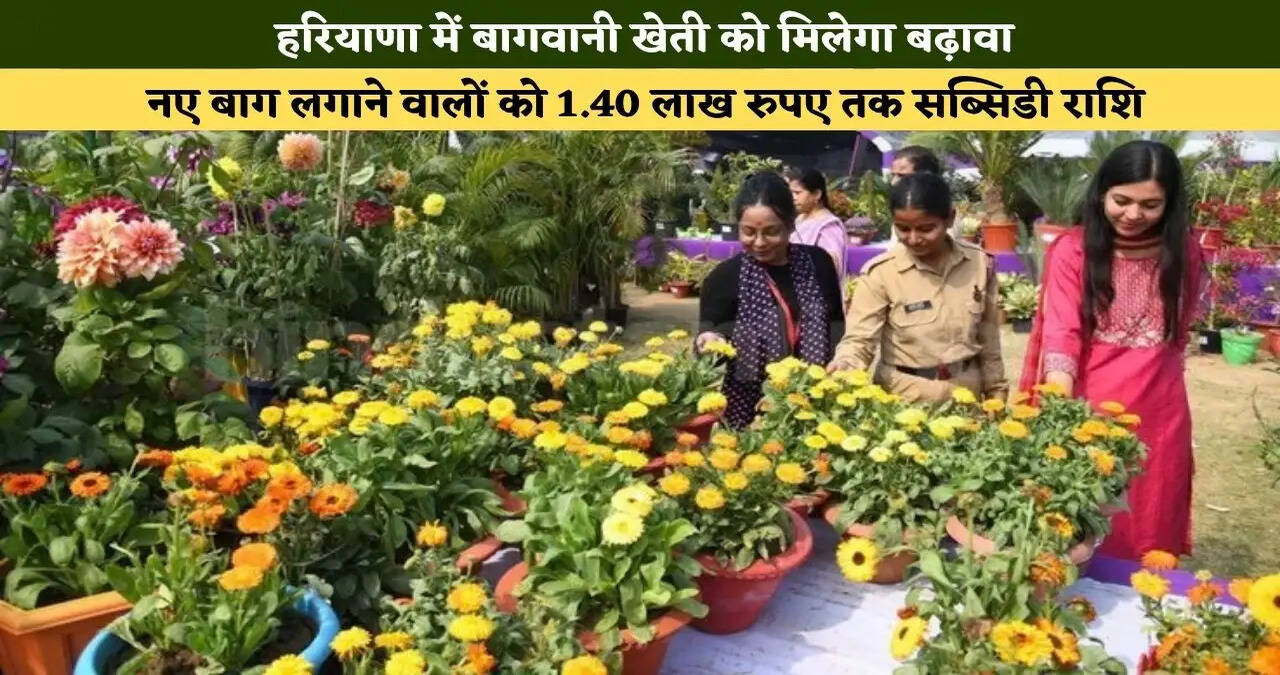 हरियाणा में बागवानी खेती को मिलेगा बढ़ावा, नए बाग लगाने वाले किसानों को मिलेगी 1.40 लाख रुपए तक सब्सिडी राशि