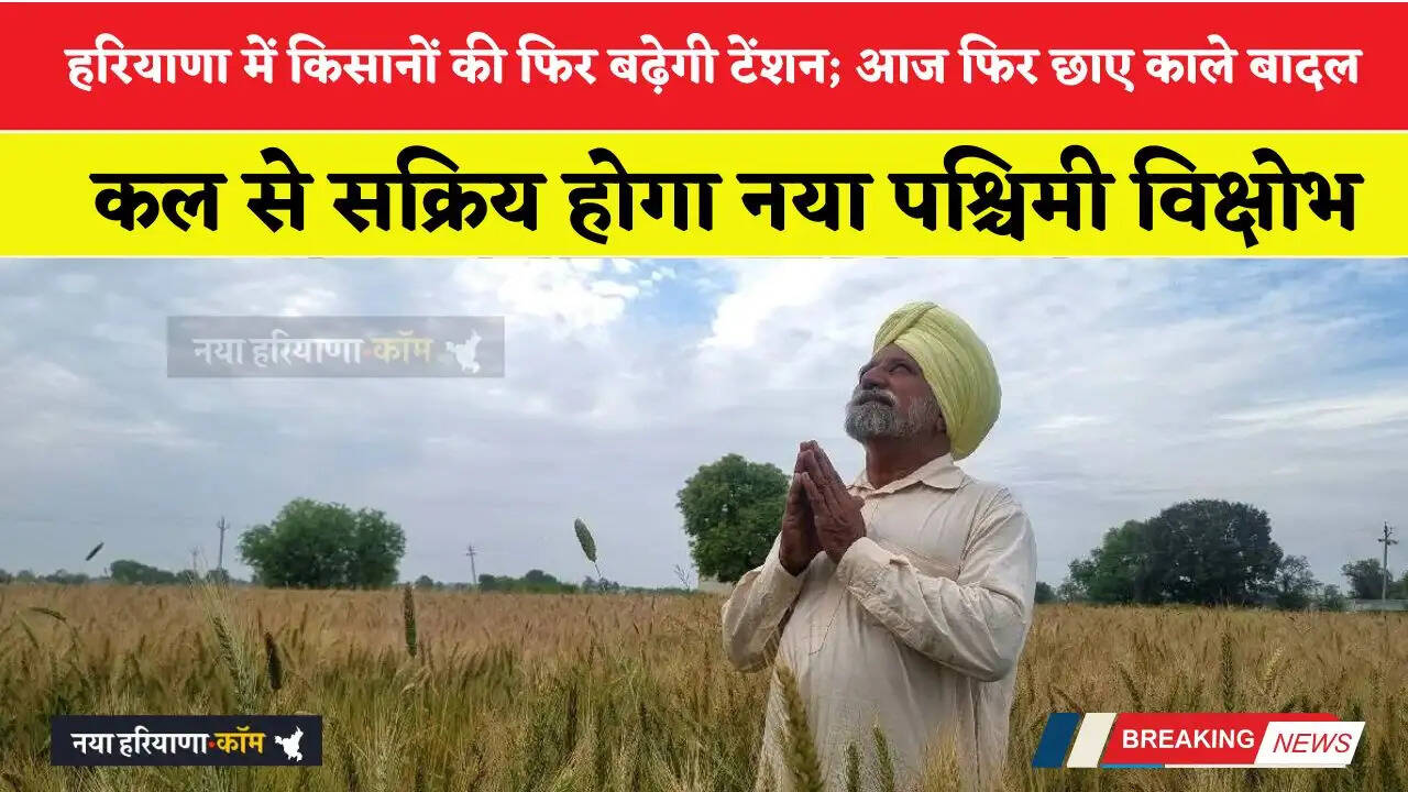 Haryana Weather: हरियाणा में किसानों की फिर बढ़ेगी टेंशन; आज फिर छाए काले बादल; कल से सक्रिय होगा नया पश्चिमी विक्षोभ