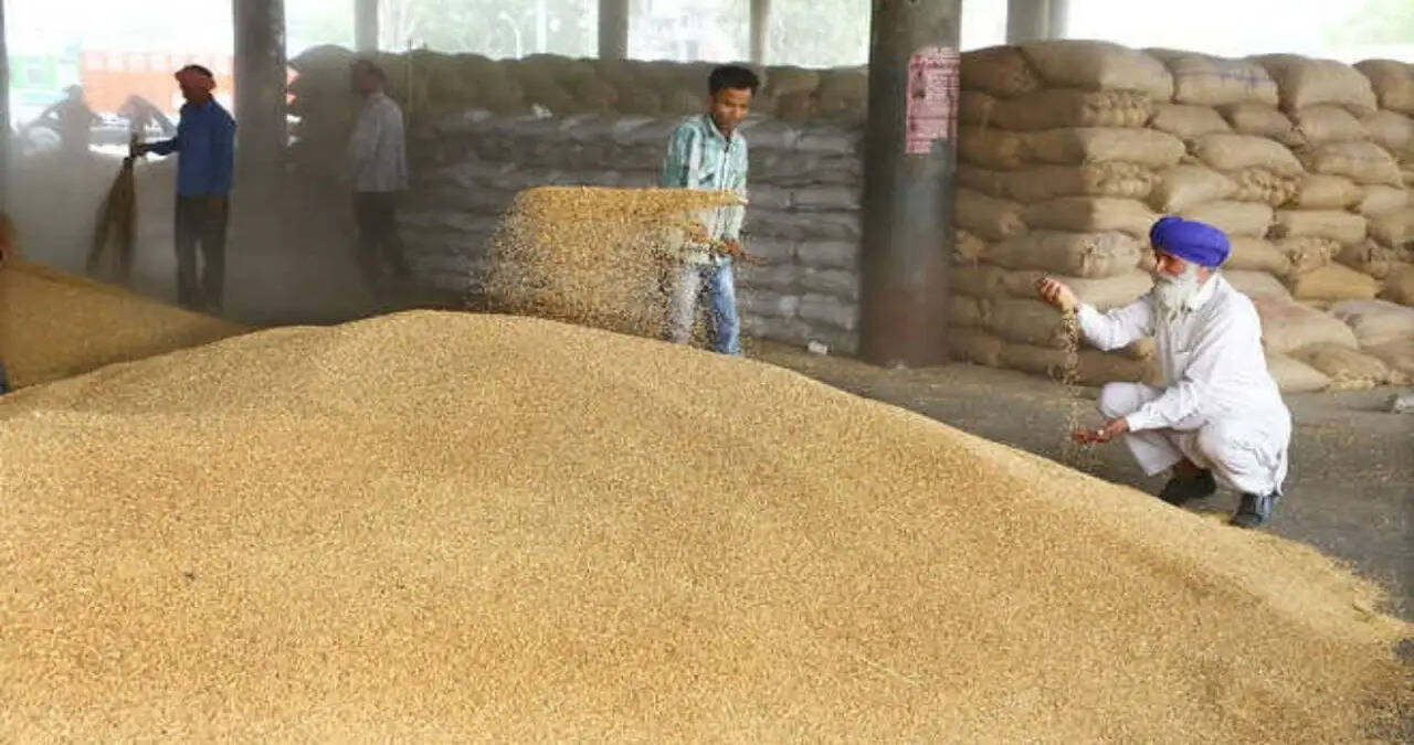 हरियाणा की सिरसा मंडी में आज 20 अप्रैल को किस रेट पर बिकी फसलें, देखें नए भाव