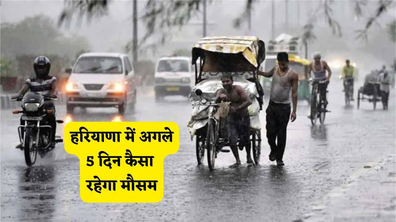 हरियाणा में अगले 5 दिन कैसा रहेगा मौसम, देखें कब-कब होगी बरसात ?