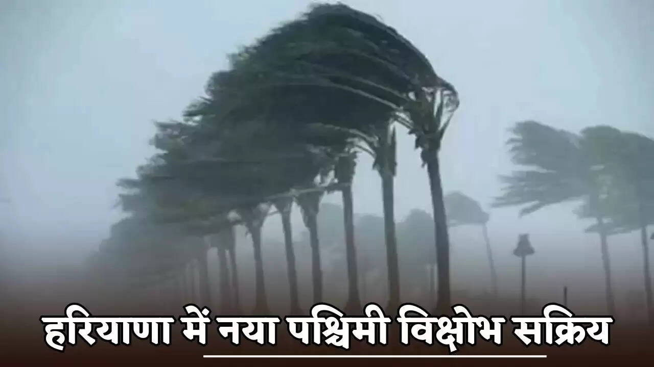 A new Western Disturbance has become active in Haryana.