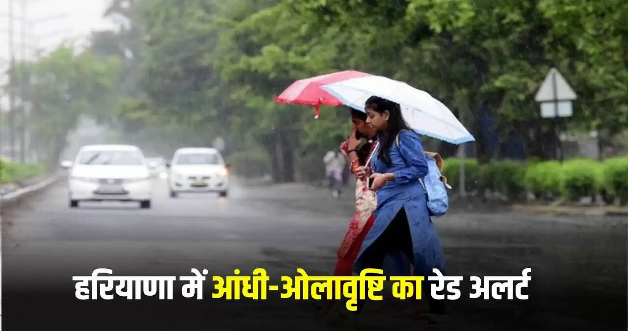 haryana rain alert