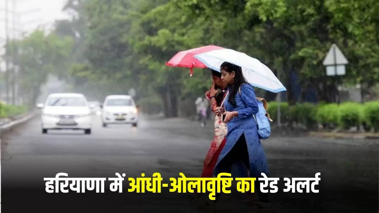 haryana rain alert