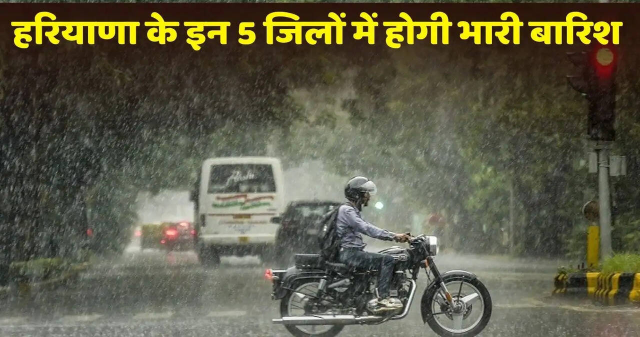 हरियाणा में आज भारी बारिश का अलर्ट, जानें कहां- कहां होगी बारिश&nbsp;
