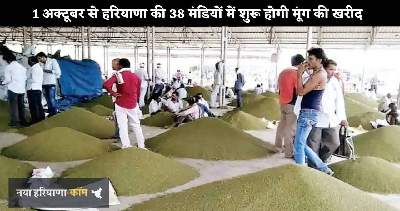 &nbsp;हरियाणा के किसानों के लिए Good News, 1 अक्टूबर से 38 मंडियों में शुरू होगी मूंग की खरीद