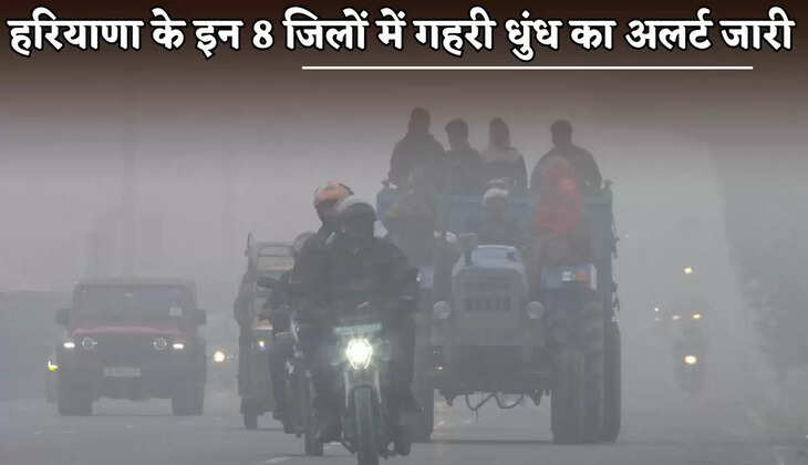 A dense fog alert has been issued for these 8 districts of Haryana.
