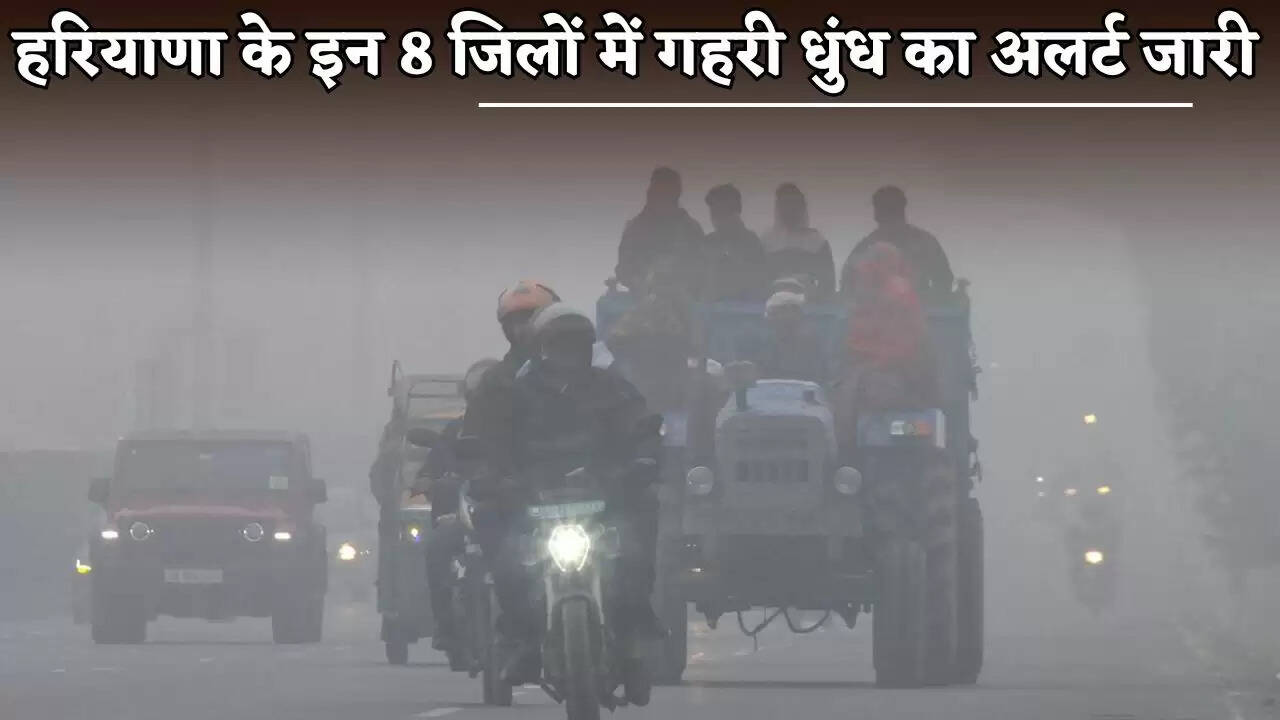 A dense fog alert has been issued for these 8 districts of Haryana.