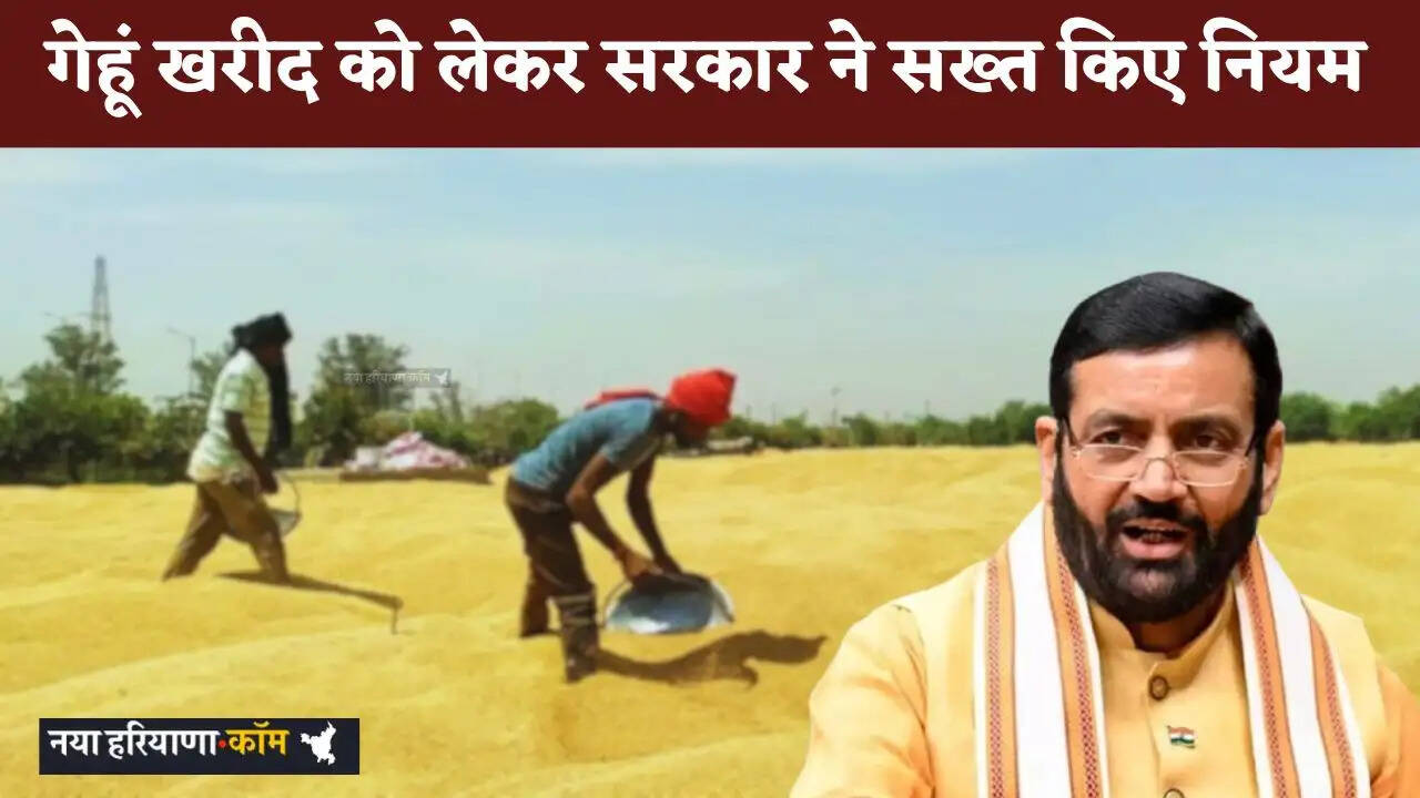 Haryana: हरियाणा में गेहूं खरीद को लेकर सरकार ने सख्त किए नियम, किसानों को करना होगा ये काम