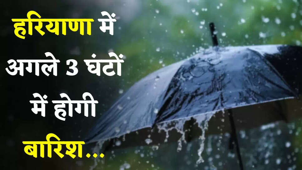 Haryana rain alert