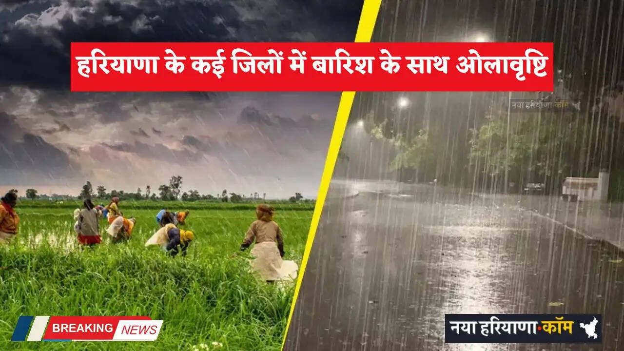 Haryana Weather: हरियाणा के कई जिलों में बारिश के साथ ओलावृष्टि, अगले 2 दिन के लिए अलर्ट जारी