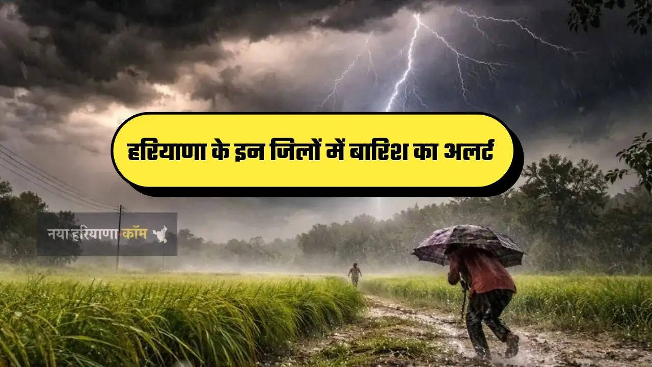 हरियाणा में बदला मौसम का मिजाज, इन जिलों में बारिश का अलर्ट