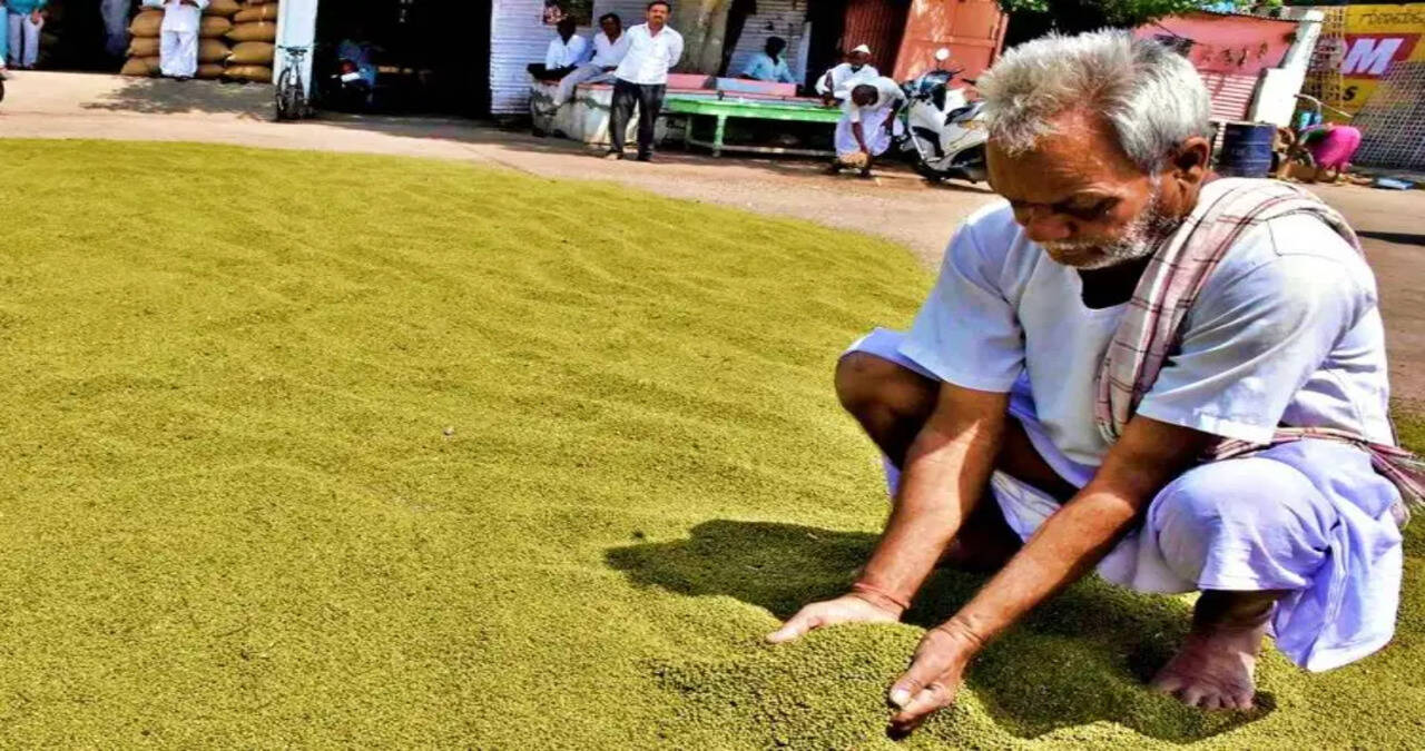 हरियाणा में एक अक्टूबर से शुरू होगी मूंग की खरीद,&nbsp;मूंग का एमएसपी 8,780 रुपये जबकि तिल का 10,346 रुपये