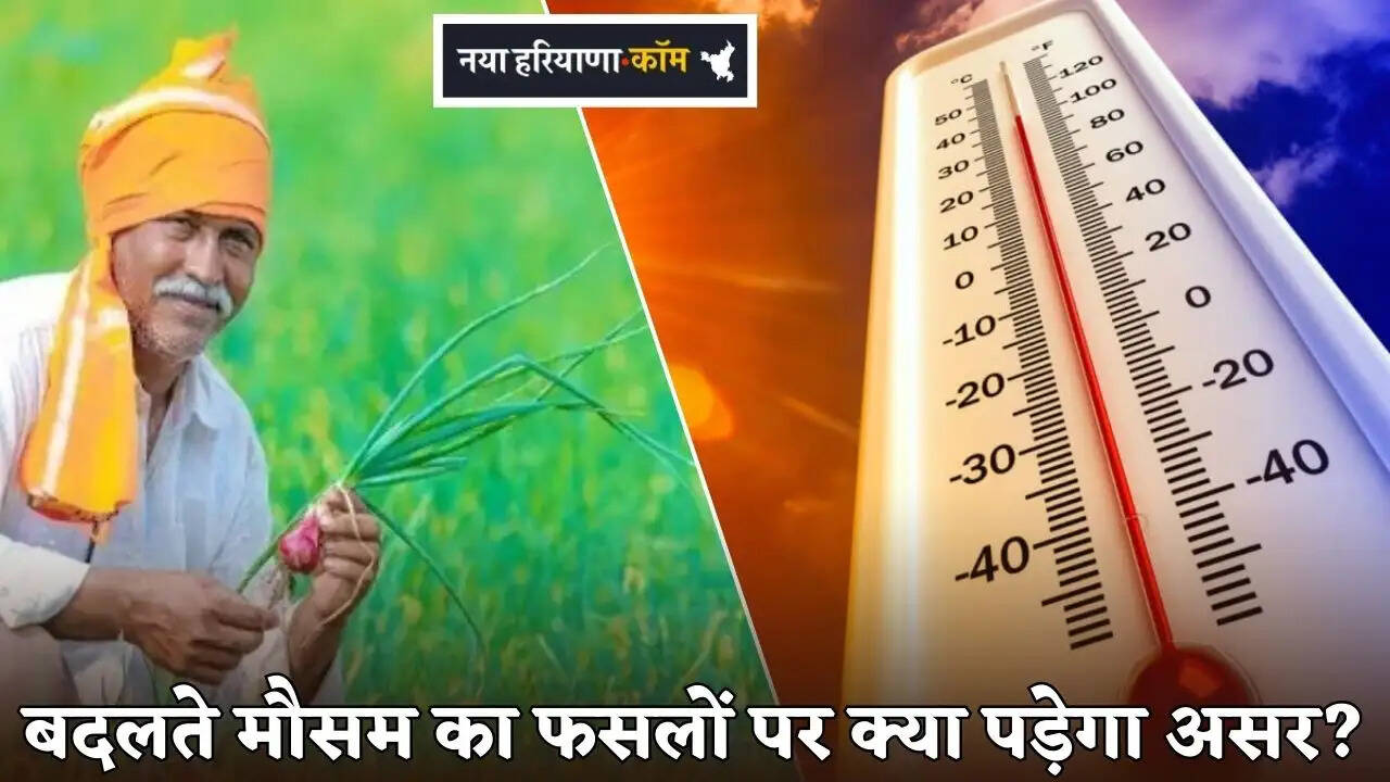 What will be the impact of changing weather on crops in Haryana?
