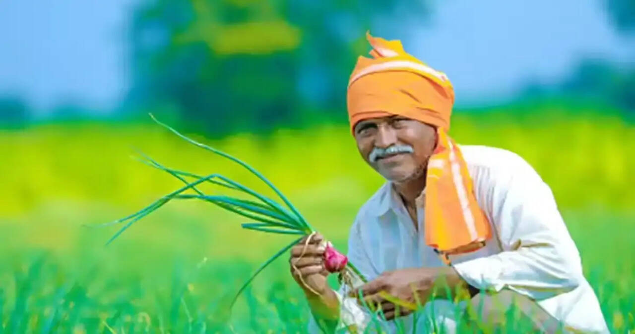 &nbsp;हरियाणा सरकार ने गन्ना किसानों के लिए सब्सिडी योजनाओं का किया ऐलान